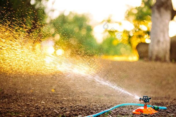 花园灌溉.洒水器体系和软管洒水指已提到的人草