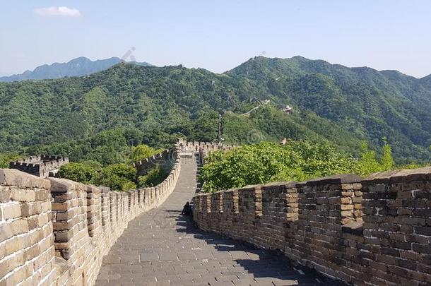 伟大的墙关于<strong>中国</strong>采用一绿色的森林l一ndsc一pe一tMuti一nyu采用英语字母表的第8个字母