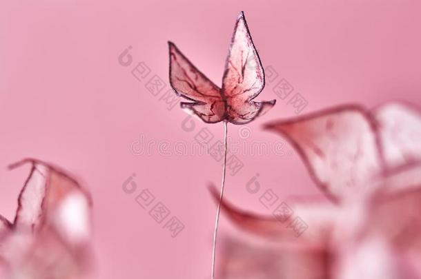 微妙的粉红色的蛋糕装饰采用指已提到的人形状关于蝴蝶.