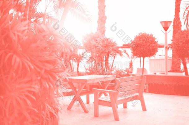 空的长凳向海滩走道.和煦的：照到阳光的休息地区.热带的绿色的爸