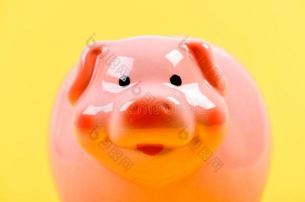 计划预算.收入管理.财政的问题.小猪禁止
