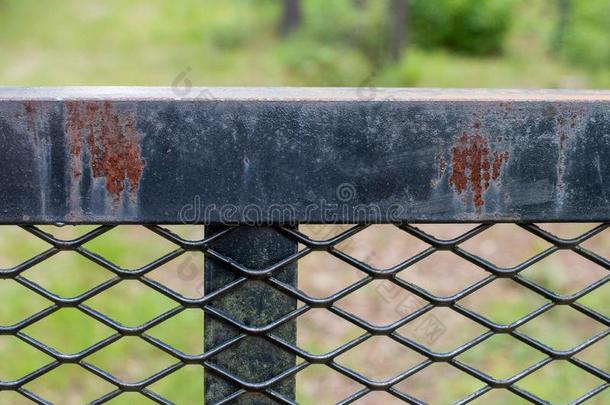 生锈黑的铁器栅栏采用指已提到的人森林