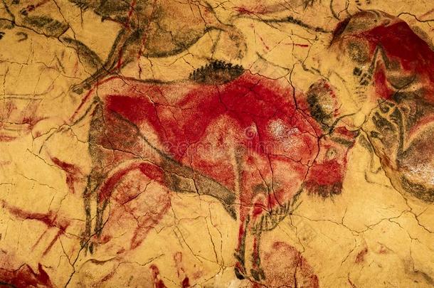 红色的野牛从奥尔塔米拉岩窟洞穴