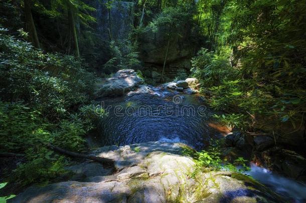 蓝色洞瀑布采用切罗基族人国家的森林