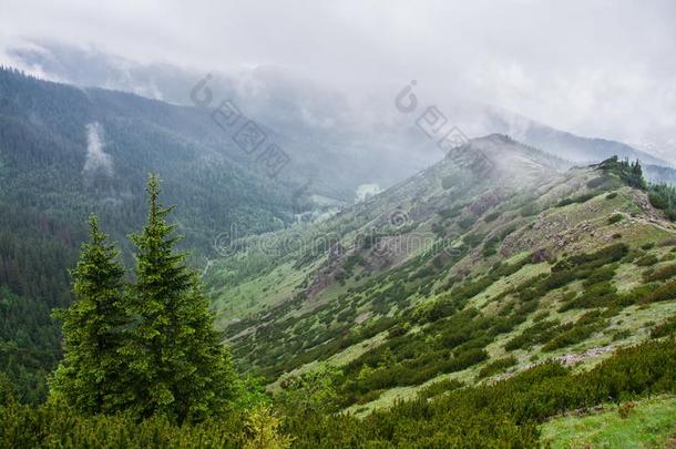 汽车品牌名称--捷克山在近处位于波兰塔特拉山脉北坡的一个艺术中心,波兰.