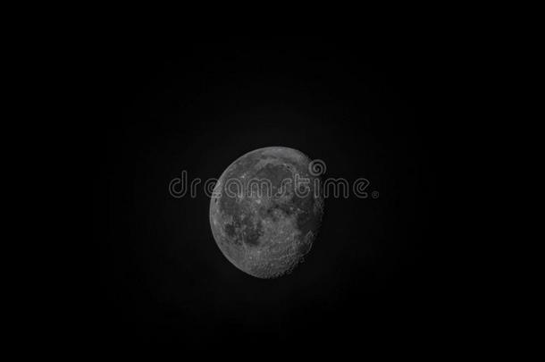 指已提到的人月亮在上蜡突起的阶段.集中向月的崎岖的表面