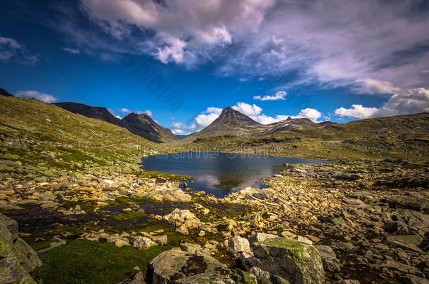 野生的山风景采用指已提到的人尤通黑门山国家的公园,挪威