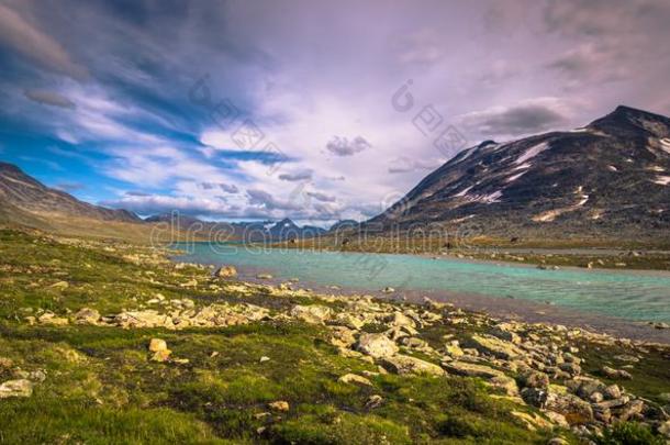 野生的山风景采用指已提到的人尤通黑门山国家的公园,挪威
