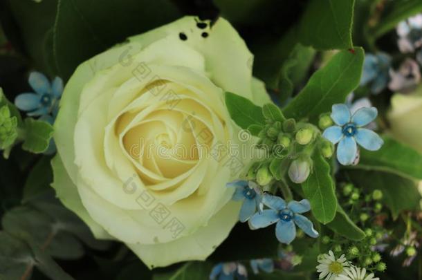 白色的和<strong>蓝色婚礼</strong>花