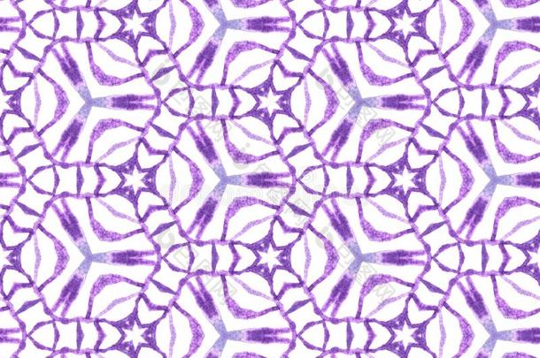 紫色的几何学的植物的叶子无缝的模式.手资料暂存器