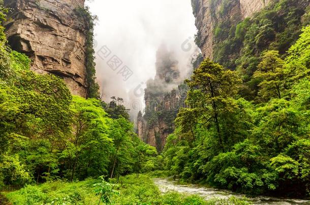 张家界国家的森林公园.著名的旅行者吸引采用wickets三柱门