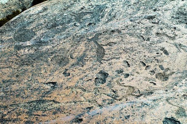 古代的版画岩石向指已提到的人st向e盘子关于奥涅加河湖
