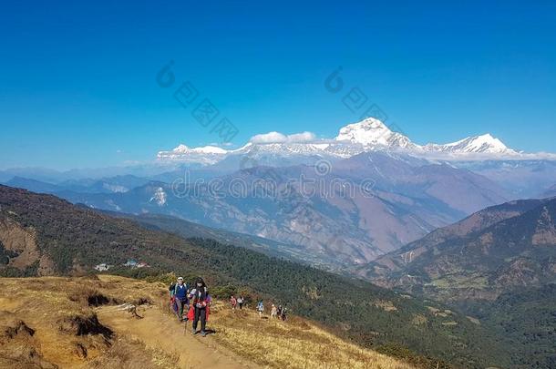安纳布尔那山基础营地徒步旅行长途跋涉,喜马拉雅山脉,尼泊尔.十一月,201