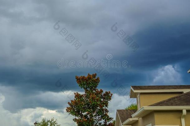 房屋木兰德努达塔树,和雷电交加的暴风雨