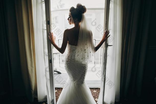 轮廓关于时髦的新娘开幕窗阳台采用s关于t光
