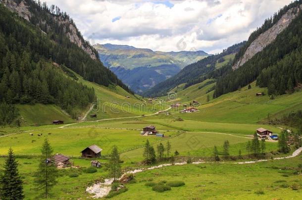 维默塔尔,奥地利美丽的山谷采用盖洛斯