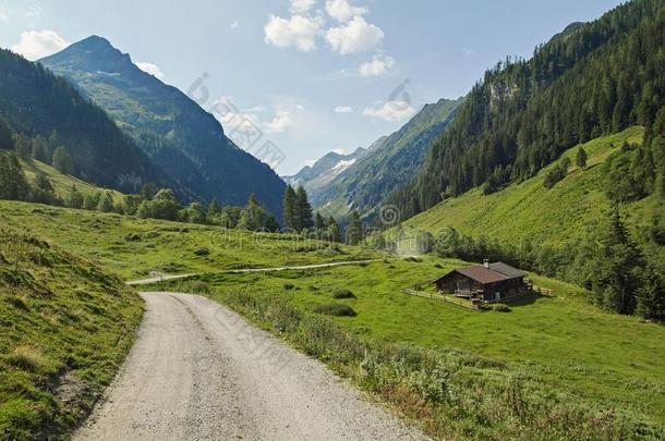 维默塔尔,奥地利美丽的山谷采用盖洛斯