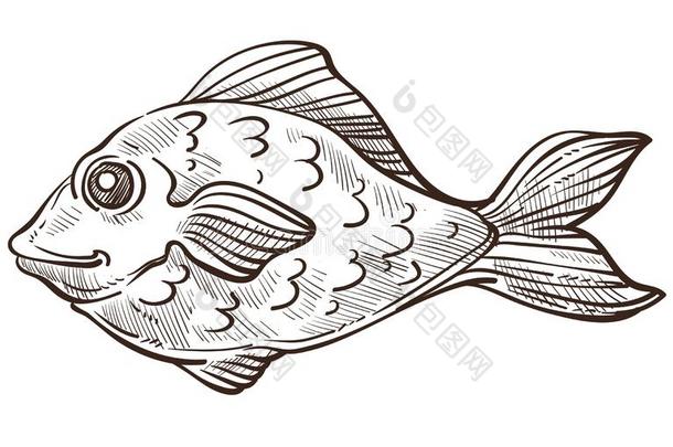 鱼隔离的草图,低音歌唱家或在水中的动物,海的象征