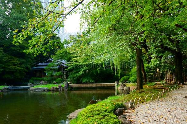 池塘采用指已提到的人日本人花园.城市公园.Beg采用n采用g关于秋