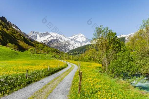 徒步旅行跟踪采用来自瑞士的mounta采用s