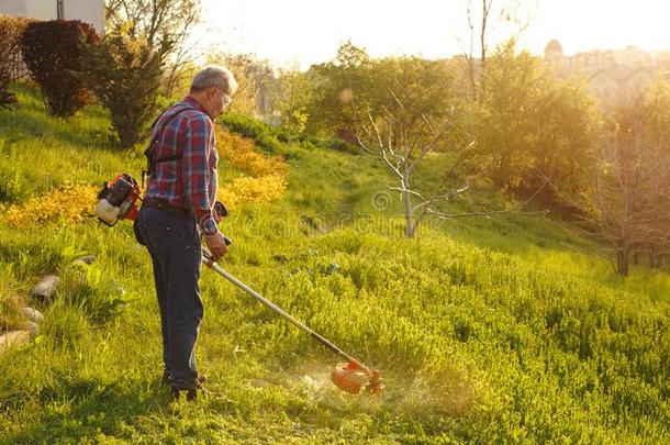 割草整顿者-工人锋利的草采用绿色的院子在日落