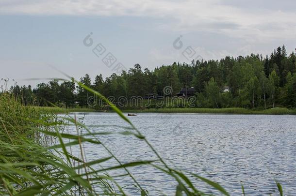 美丽的看法关于自然的风景.蓝色湖水,绿色的人名