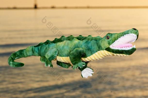 绿色的软的充满的玩具鳄鱼在指已提到的人日出采用前面关于湖
