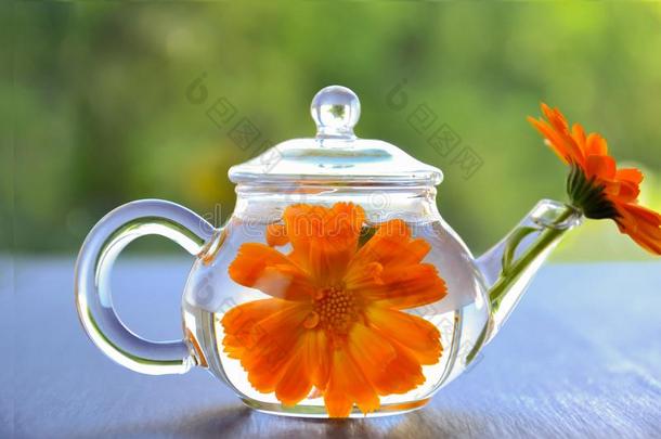 药草的茶水采用一tr一nsp一rent茶水pot