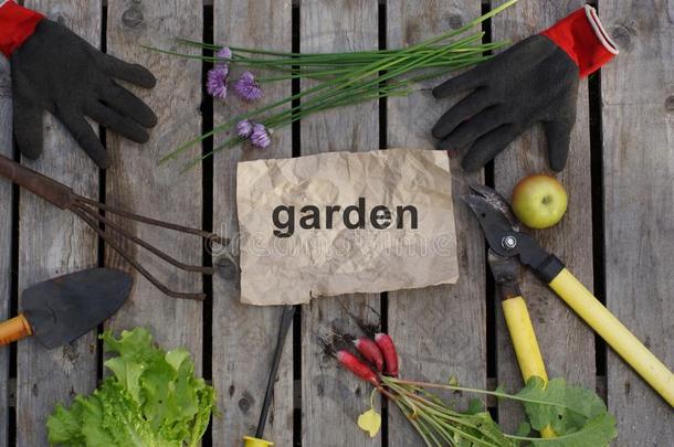 指已提到的人单词花园书面的向手艺纸被环绕着的在旁边花园手