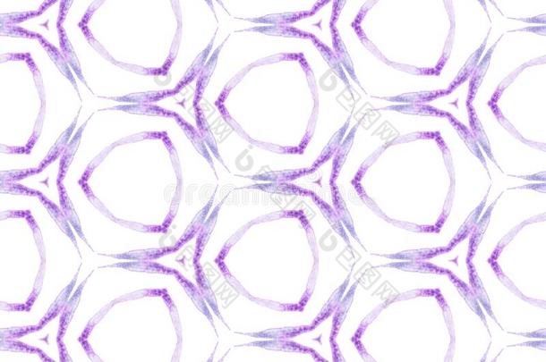 紫色的几何学的植物的叶子无缝的模式.手资料暂存器