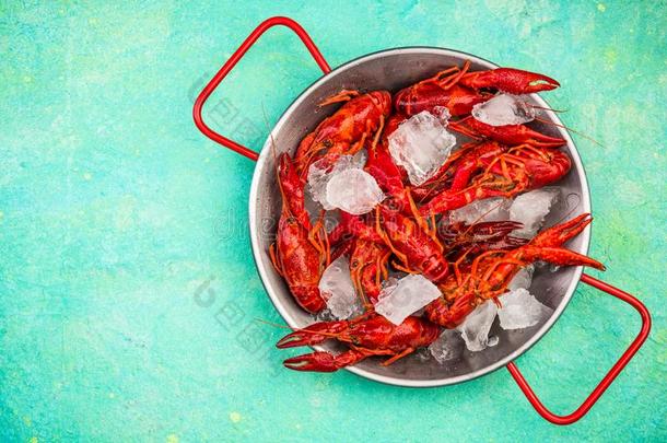 新鲜的红色的淡水螯虾和冰立方形的东西向长柄而有盖子的深平底锅,复制品空间
