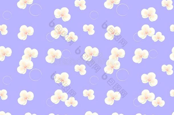 无缝的模式和白色的兰花.矢量说明