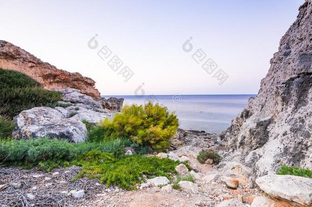 美丽的野生的海滩和植物群采用卡利西亚,罗兹地貌名称,希腊