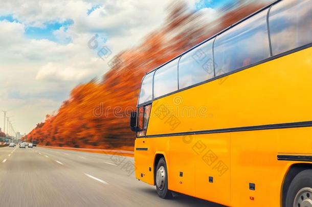 大的奢侈舒适的旅行者公共汽车操纵通过金色的秋