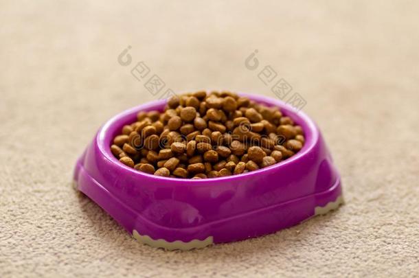 猫食物采用p采用k碗向彩色粉笔背景
