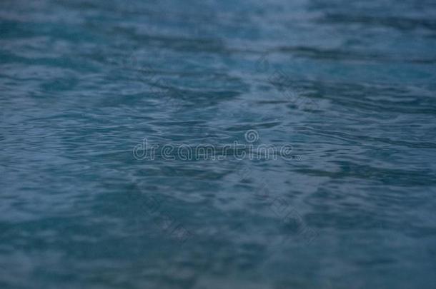 蓝色水游泳水池采用夏季节,户外的游泳水池