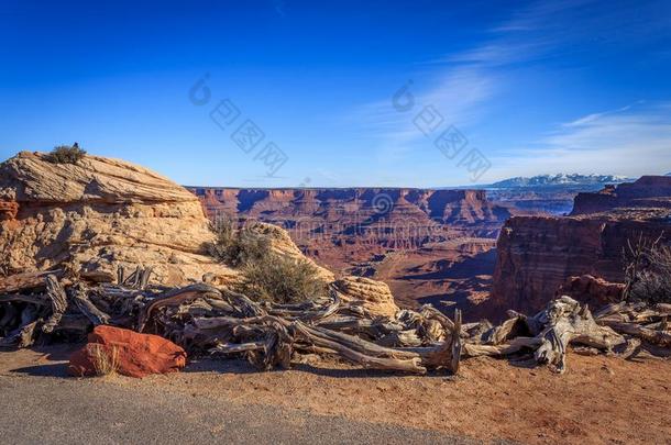 CanyonlandsNationalParksurroundingthejunctionoftheColoroandGreen