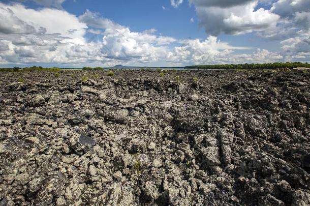 中国五大连池世界地质的公园,世界生物圈储备