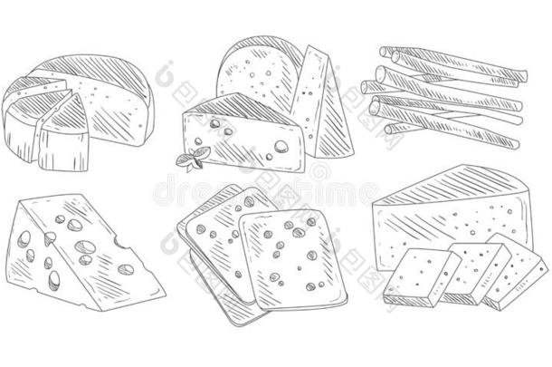 手疲惫的不同的类型关于奶酪放置,有机的牛奶场产品,