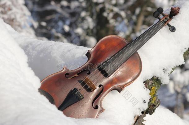 小提琴向雪.老的棕色的木制的小提琴和4乐队的弦<strong>乐器</strong>部是（be的三单形式外部