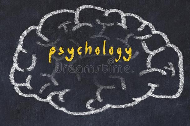 <strong>刮风</strong>关于人脑向黑板和inscripti向心理学
