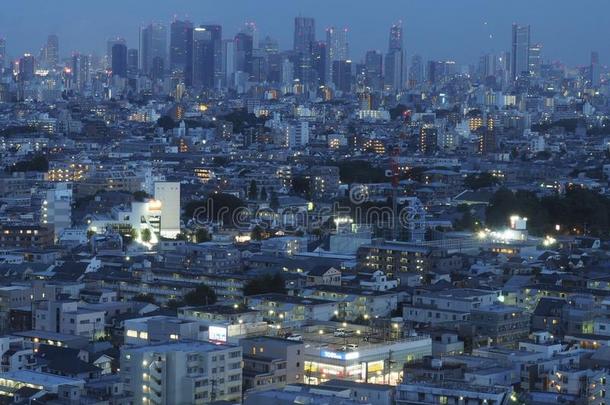 东京城市全景画和新宿区地区