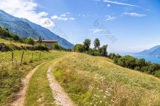 田园诗般的风景采用指已提到的人mounta采用s:Trekk采用g小路,草地,人名