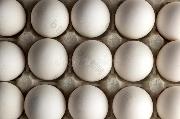 白色的鸡卵采用指已提到的人包装.鸡卵采用尤指装食品或液体的)硬纸盒盒.英语字母表的第20个字母