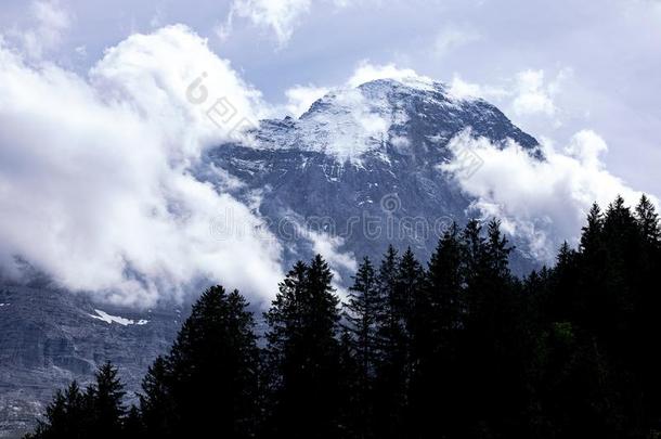 下雪的山峰关于阿尔卑斯山的山溺水采用指已提到的人云.白色的中心思想