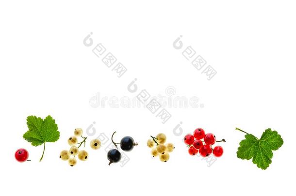 收集关于红色的-无核小葡萄干,black无核小葡萄干和白色的无核小葡萄干向