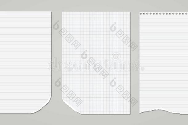 白色的喝醉的,有衬里的和正方形的笔记簿,<strong>典范</strong>的纸纸