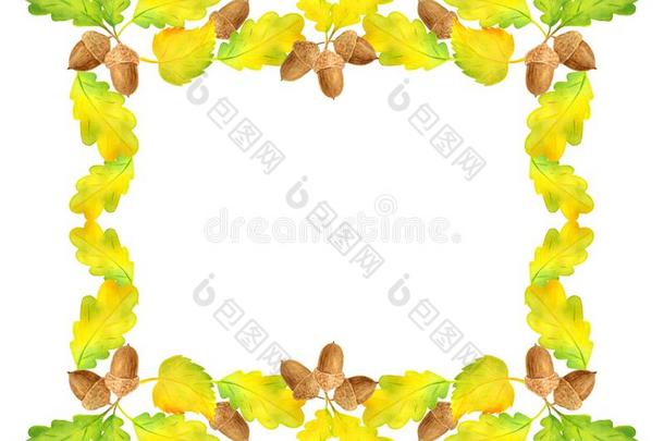 水彩矩形的框架关于栎树树枝和黄色的树叶
