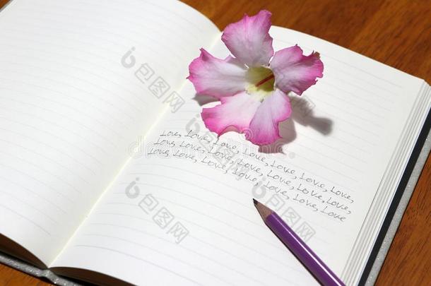 文字许多爱字向指已提到的人书和铅笔和粉红色的花