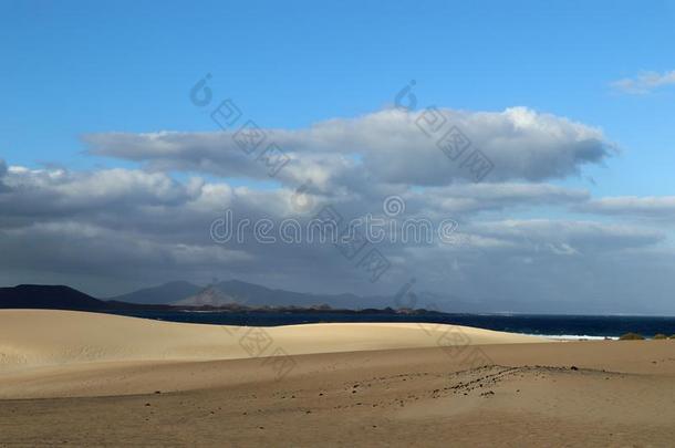沙沙丘向富埃特文图拉岛西班牙